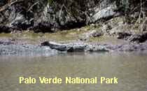 Reserva Palo Verde
