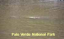 Reserva Palo Verde