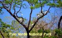 Reserva Palo Verde