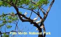 Reserva Palo Verde