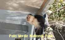 Reserva Palo Verde