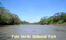 Reserva Palo Verde