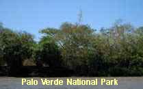 Reserva Palo Verde