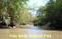 Reserva Palo Verde