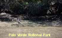 Reserva Palo Verde