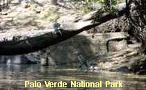 Reserva Palo Verde