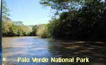 Reserva Palo Verde