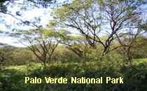Reserva Palo Verde