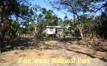 Reserva Palo Verde