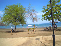 Playa del Coco