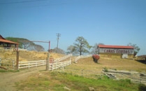 Paesaggi