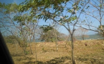 Paesaggi