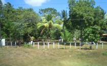 Paesaggi