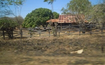 Paesaggi