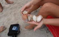 Playa Nacascolo