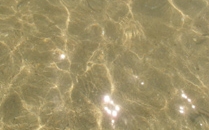 Playa Nacascolo