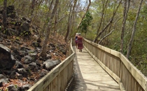 Playa Nacascolo