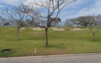 Playa Nacascolo