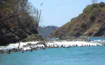 Playa Prieta