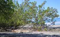 Playa Prieta