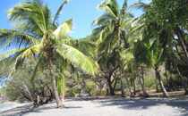 Playa Prieta
