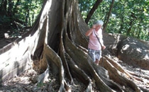 Rincon de la Vieja