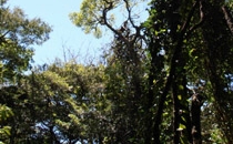Rincon de la Vieja