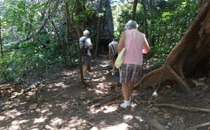 Rincon de la Vieja