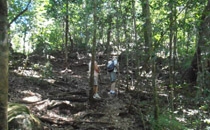 Rincon de la Vieja