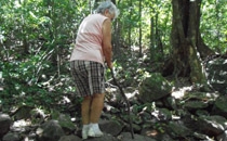 Rincon de la Vieja