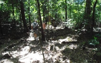 Rincon de la Vieja