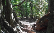 Rincon de la Vieja