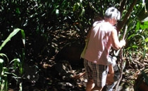 Rincon de la Vieja