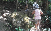 Rincon de la Vieja