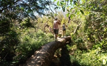 Rincon de la Vieja