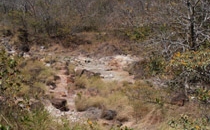 Rincon de la Vieja
