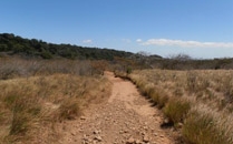 Rincon de la Vieja