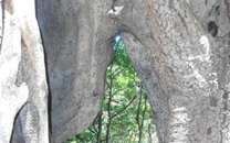 Rincon de la Vieja