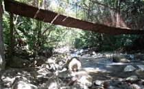 Rincon de la Vieja
