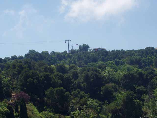 P6180075