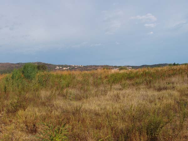 P9110026