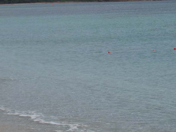 P9180120